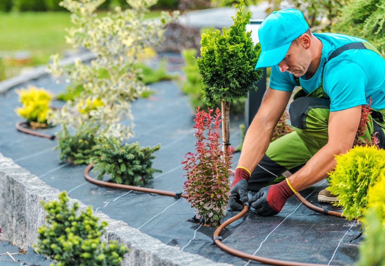 Landscape & Lawncare in Deerfield Beach