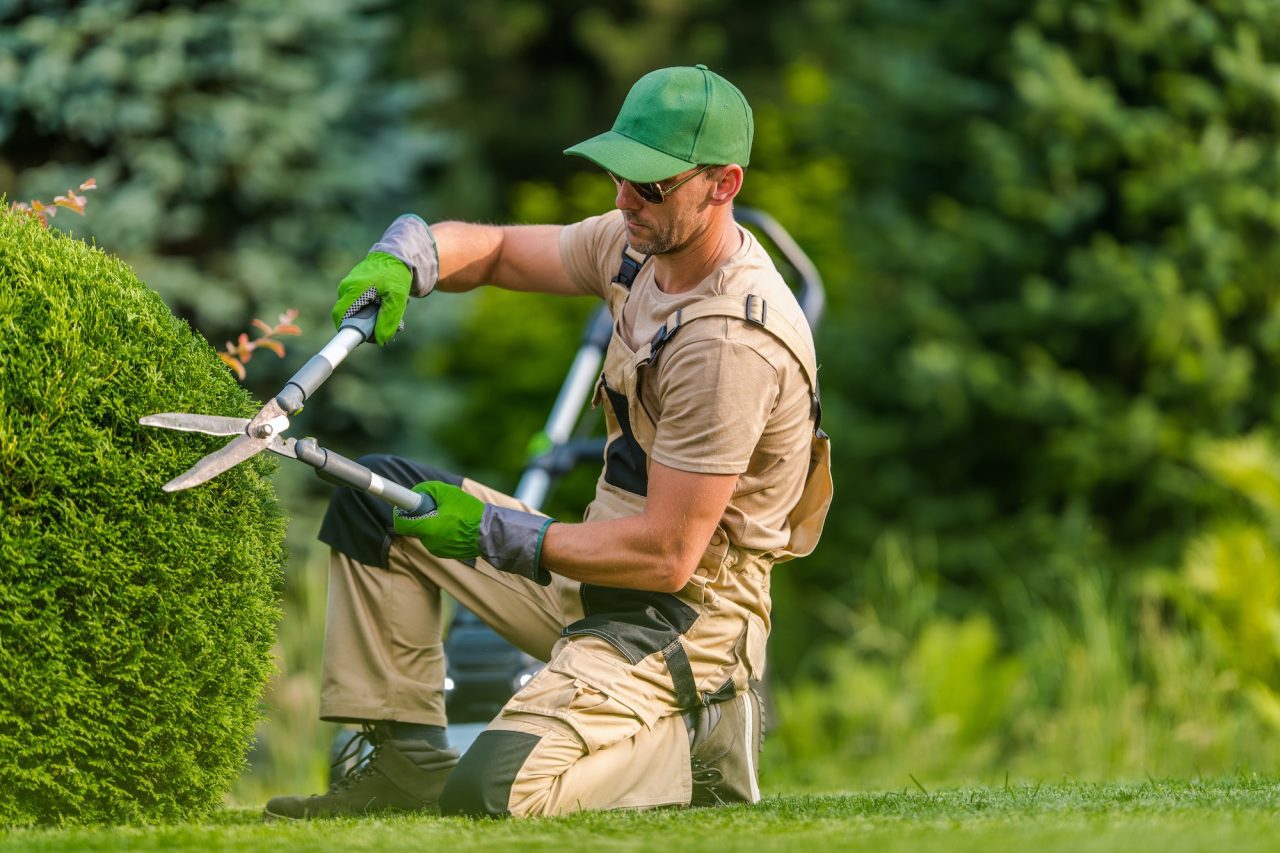 Landscaping & Lawn Care Company