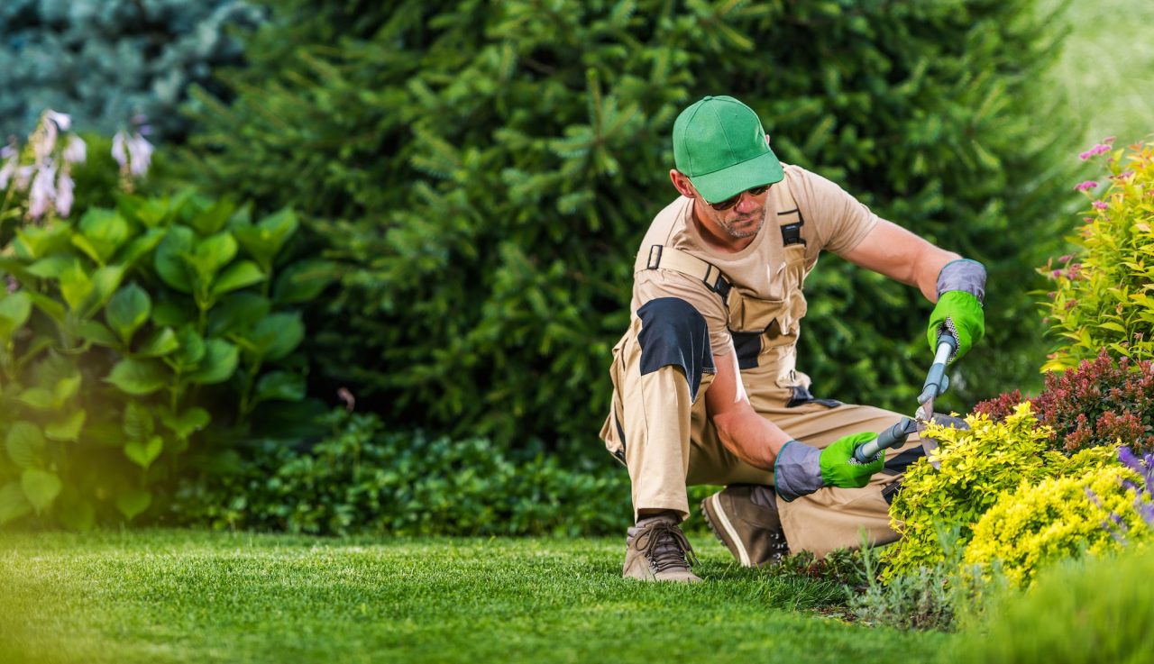 Sod Installation Lawn Company Near Me