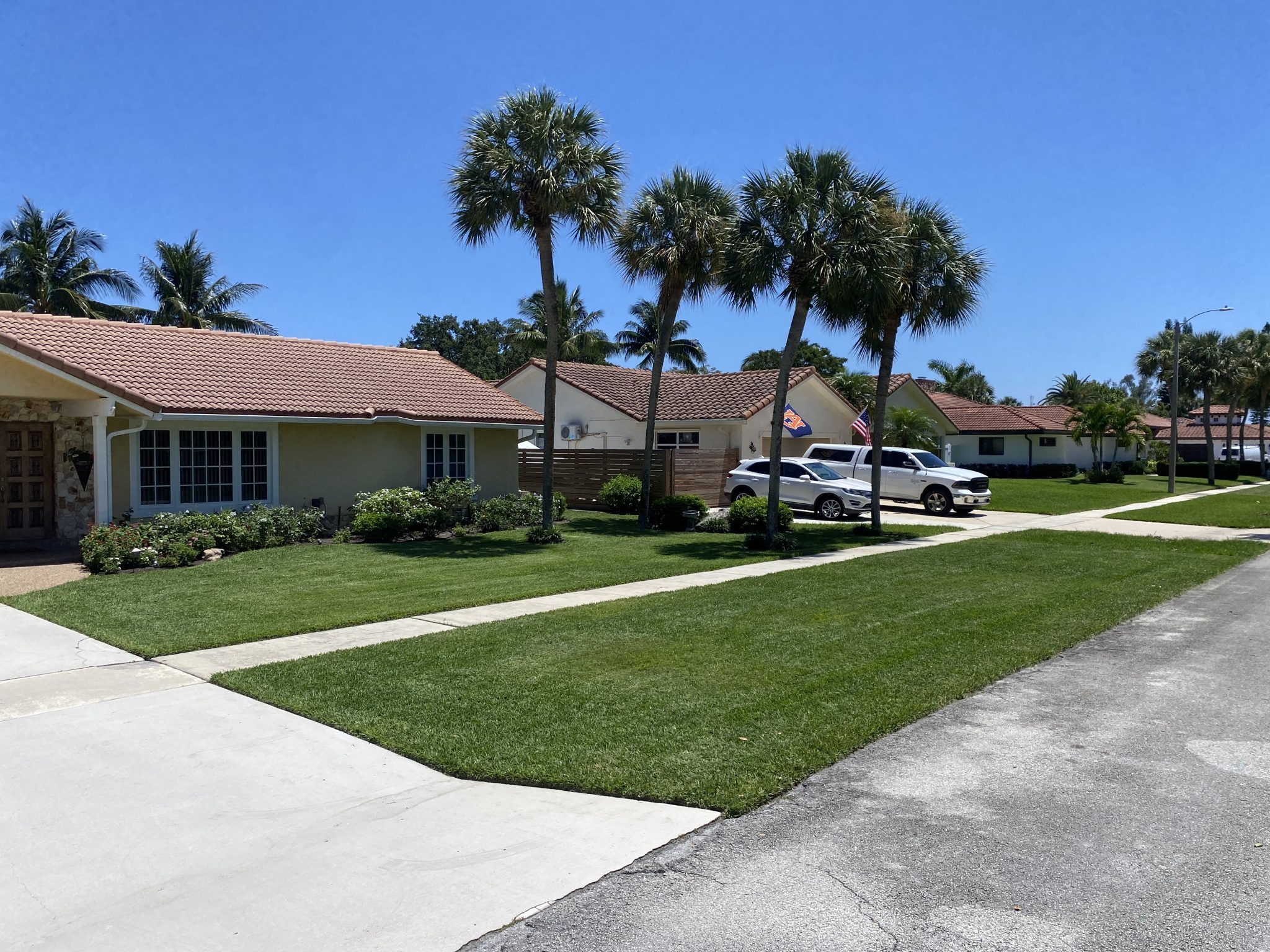 Weekly Lawn Care Company in Pinellas County