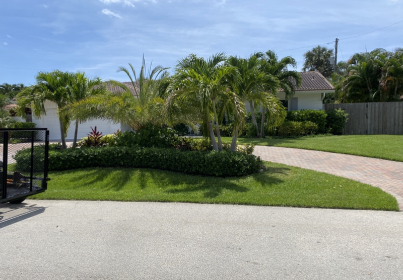 Lawn Care Services in Clearwater