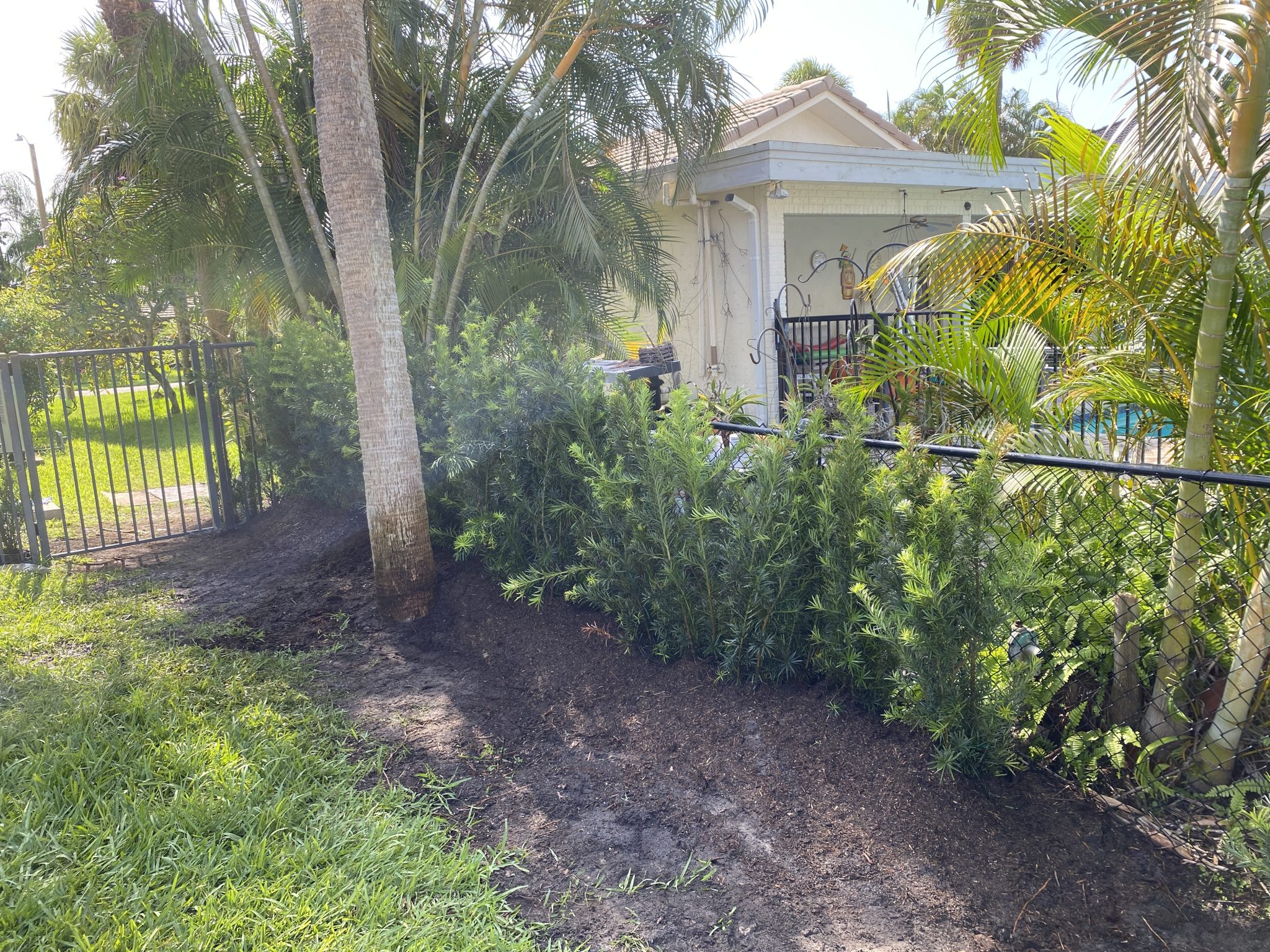 Hedge Trimming Company in Deerfield Beach