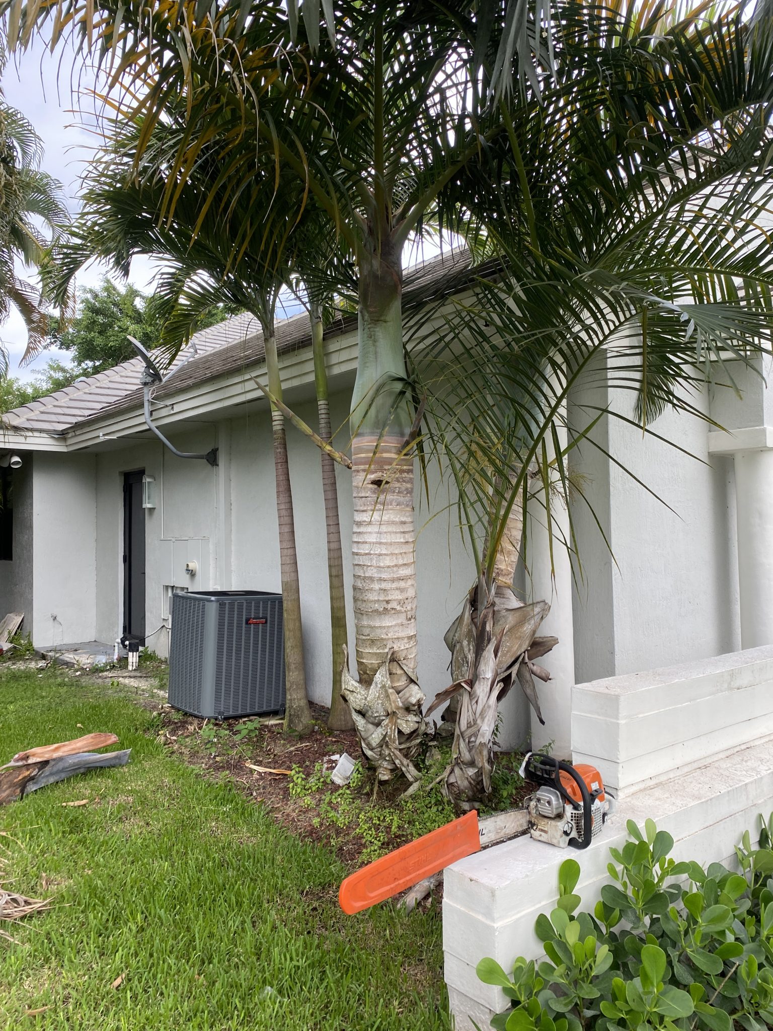 Lawn Service Deerfield Beach