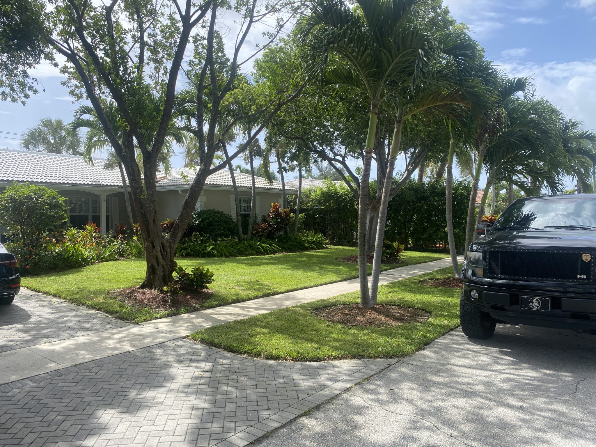 Lawn Removal Services in Deerfield Beach