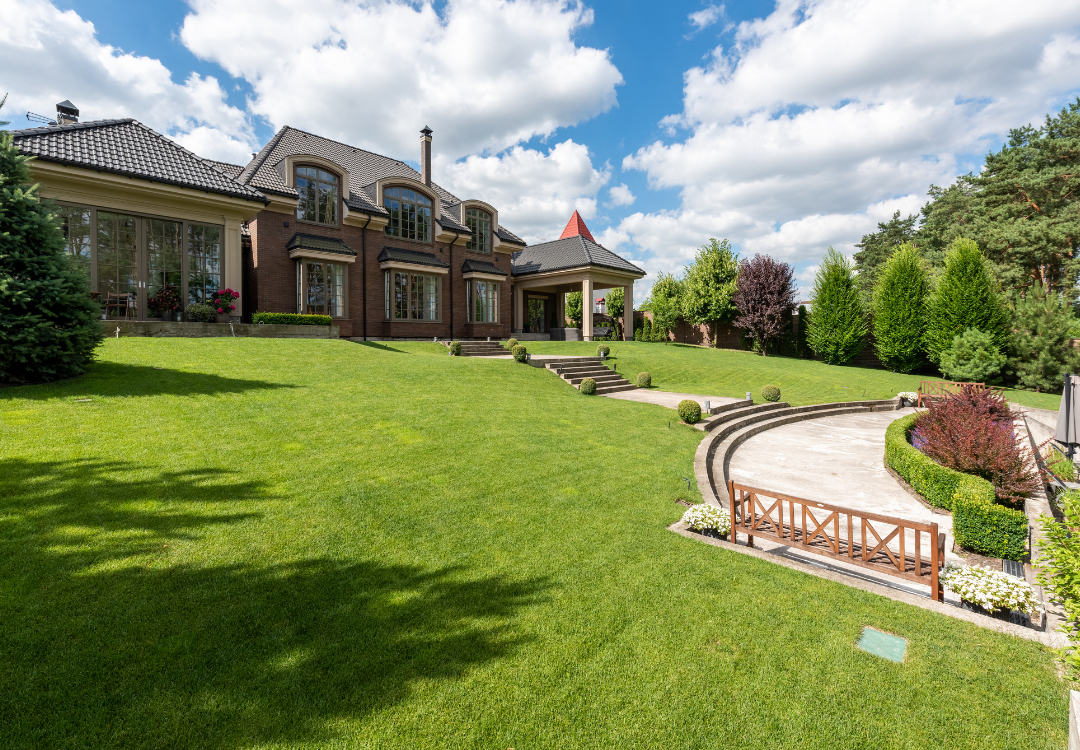 Hurricane Lawn Cleanup in Tarpon Springs