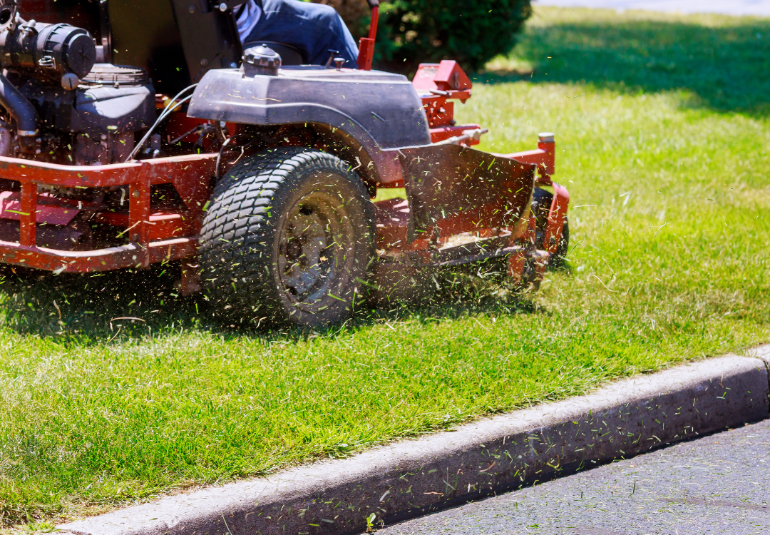 Organic Lawn Care in Tarpon Springs