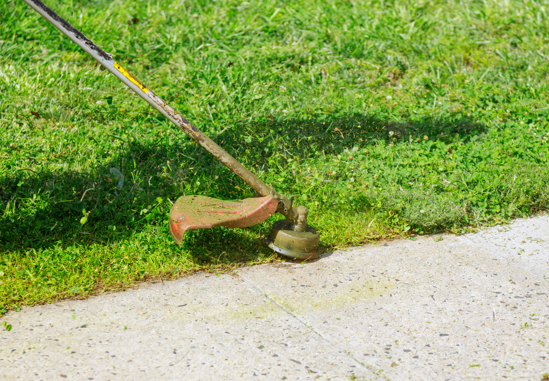 Professional vs. DIY Lawn Care
