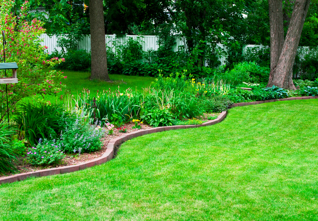 Year-Round Lawn Care in Pinellas County