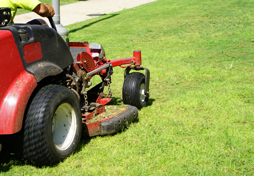 Professional Lawn Care Services in Pinellas County