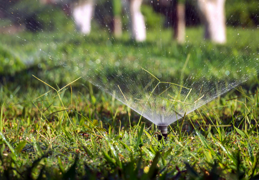 Summer Fertilizer Alternatives