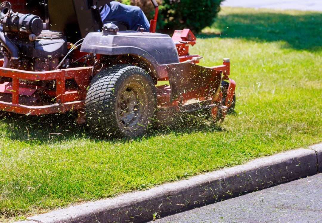 Summer Lawn Care Guide
